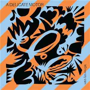 A Delicate Motor - Fellover My Own download free