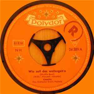 Camillo - Wie Soll Das Weitergeh'n download free