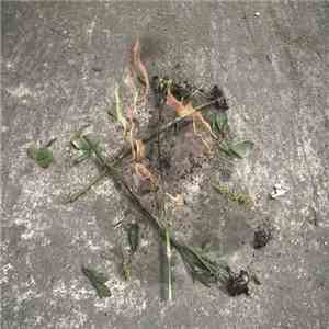 Cassels - We Wander In The Night / Rinse And Retreat download free