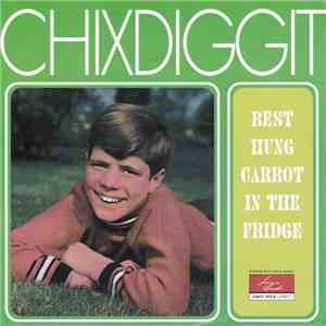 Chixdiggit - Best Hung Carrot In The Fridge download free