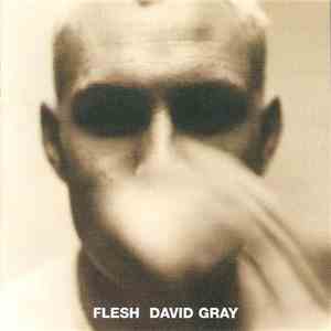 David Gray - Flesh download free