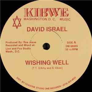 David Israel  - Wishing Well download free