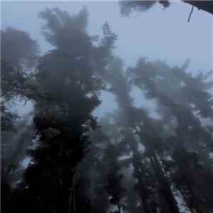 Duff Egan - Shikasta download free