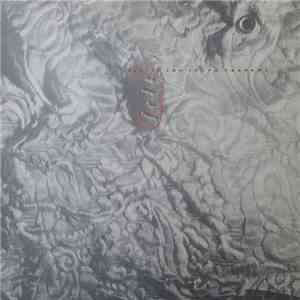 Felt - Ignite The Seven Cannons And Set Sail For The Sun download free