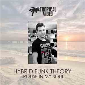 Hybrid Funk Theory - Trouse In My Soul download free