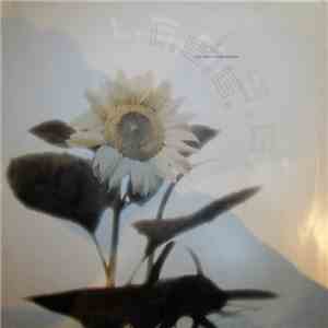 L.S.G. - Fontana / Venus (Remixes) download free