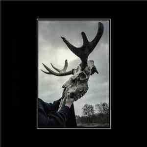 Sanne de Neige - The Forest Tapes download free