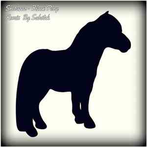 Shebuzzz - Black Pony download free
