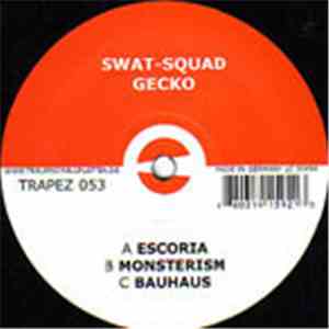 Swat-Squad - Gecko download free