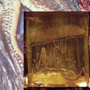Terrors - Lagan Qord download free