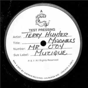 Terry Hunter - Madness download free