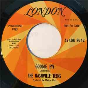 The Nashville Teens - Google Eye download free