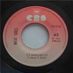 The Weather Girls - It's Raining Men download free