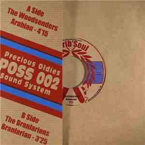 The Woodsenders / The Branlarians - Arabian / Branlarian download free