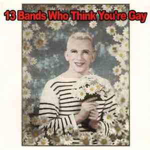 Various - 13 Bands Who Think You're Gay download free