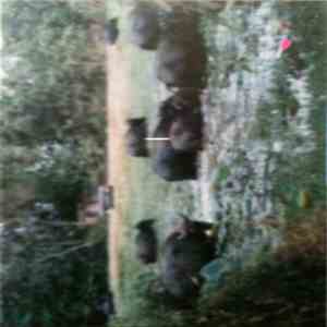 Wendy In The Mountains And The Caves With The Slaves - Hunting And Gathering download free